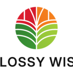 Glossywise.com im Test: Lohnt sich der Multi-Nischen-Blog?
