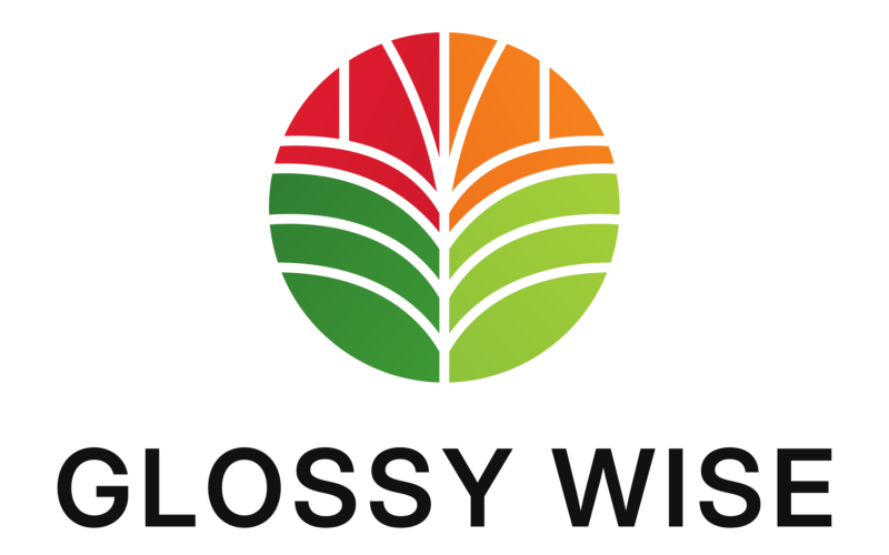 Glossywise.com im Test: Lohnt sich der Multi-Nischen-Blog?
